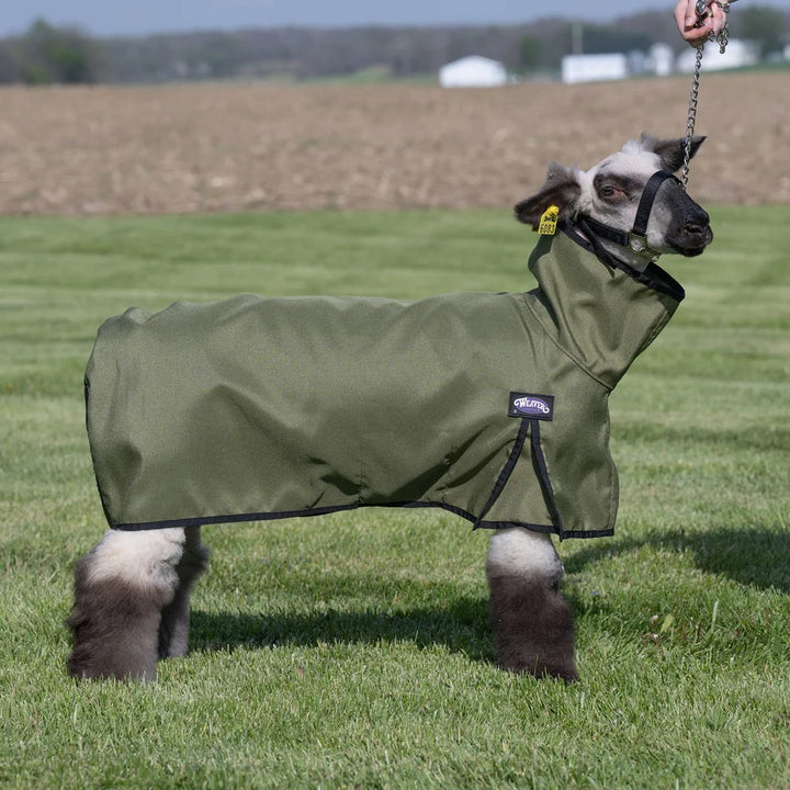 Weaver Medium Nylon Sheep Blanket with Mesh Butt- Multiple Colours