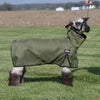 Weaver Medium Nylon Sheep Blanket with Mesh Butt- Multiple Colours
