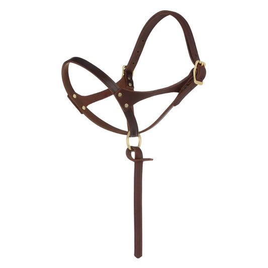 Figure 8 Foal Halter-Suckling-Canyon Rose