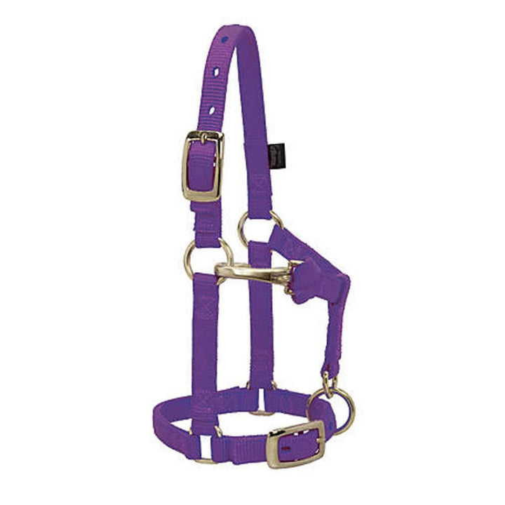 Weaver Leather Miniature Horse Halter with Chin and Throat Strap- Multiple Colours