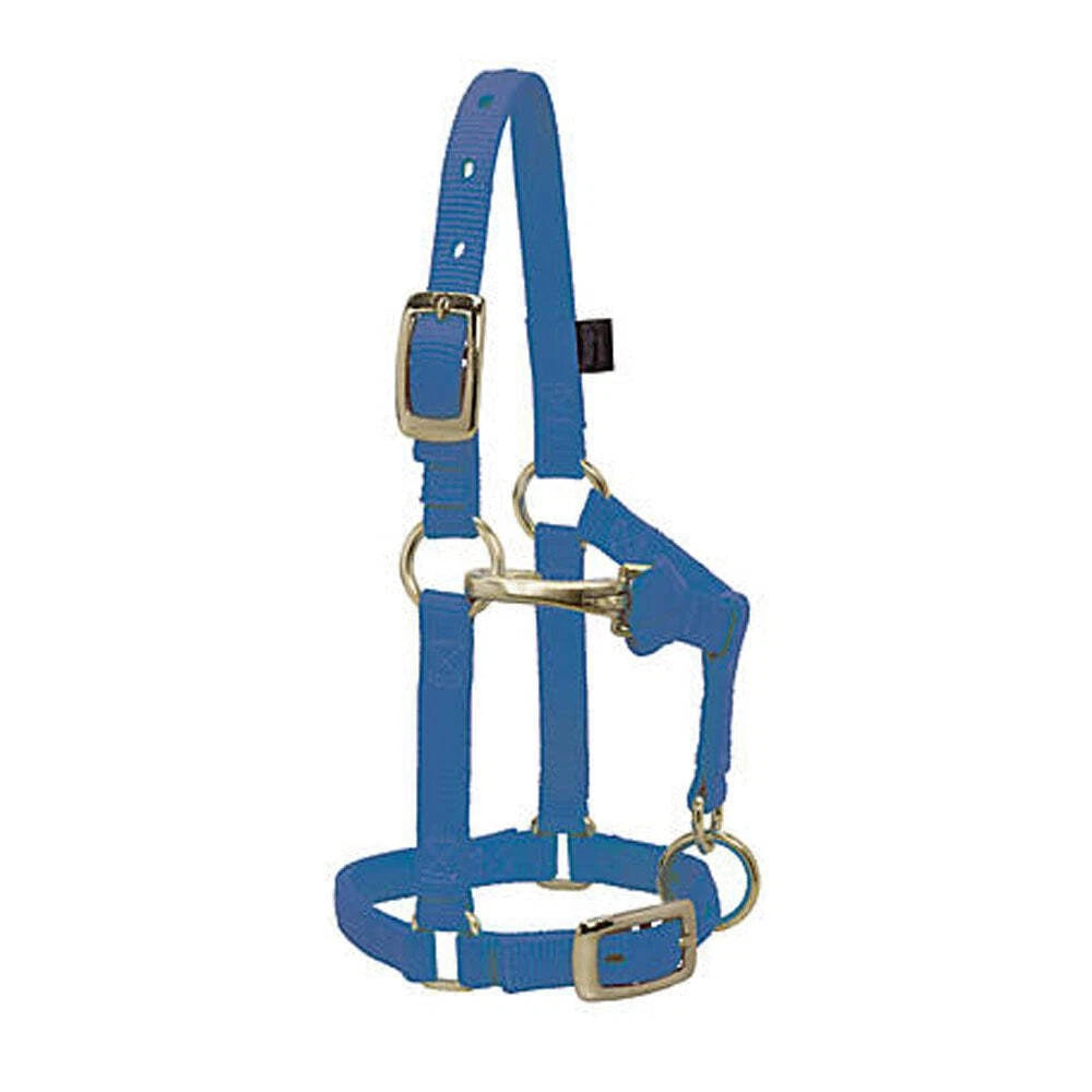 Weaver Leather Miniature Horse Halter with Chin and Throat Strap- Multiple Colours