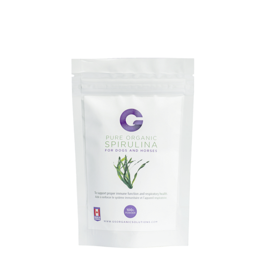 G's Organic Spirulina 100g Bag Tablets