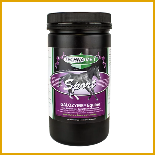 Techna Vet Galozyme Equine Sport