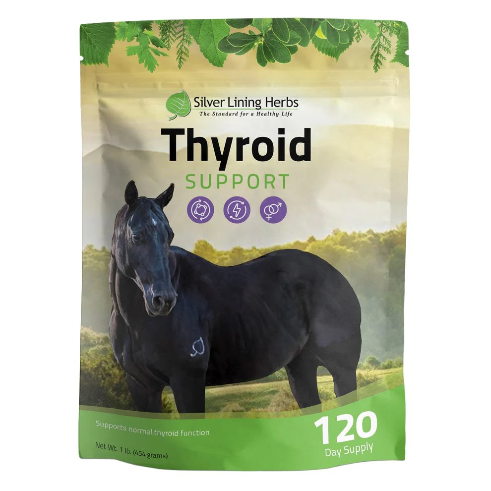 Silver Lining Herbs Thyroid Support 