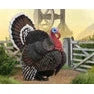 Breyer Kid's Collecta Turkey - Bronze
