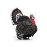 Breyer Kid's Collecta Turkey - Bronze
