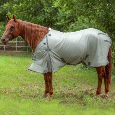 Cashel Fly Sheet