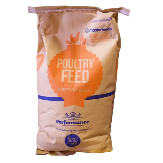 Master Feeds Hen Scratch