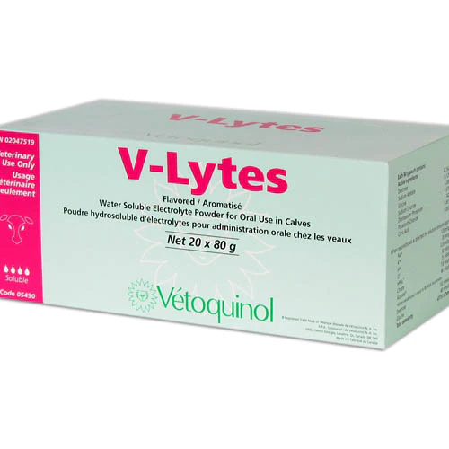 V-Lytes 20 x 80gm