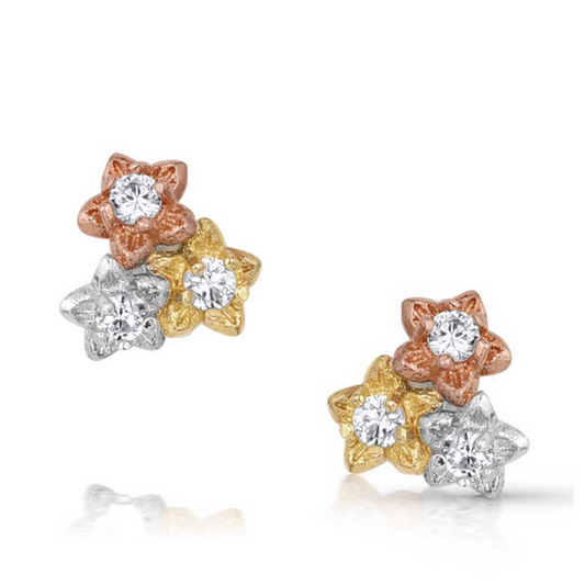 **Montana Silversmith Wildflower Meadow Earrings