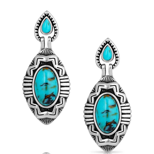 Montana Silversmith Blue Mesa Turquoise Earrings