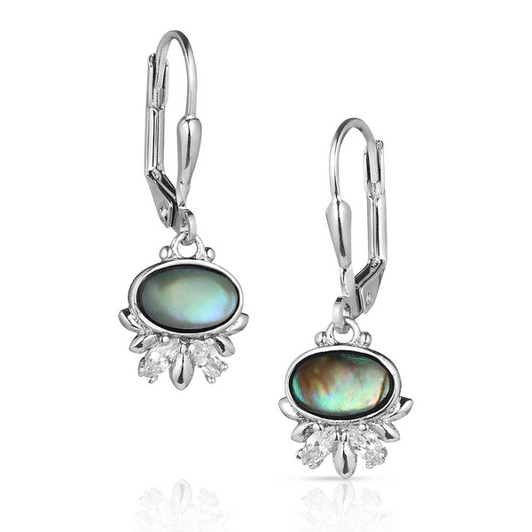 Montana Silversmith Aurora Lights Crystal Earrings