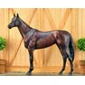 Breyer Kid's Winx - Champion Australian Racehorse