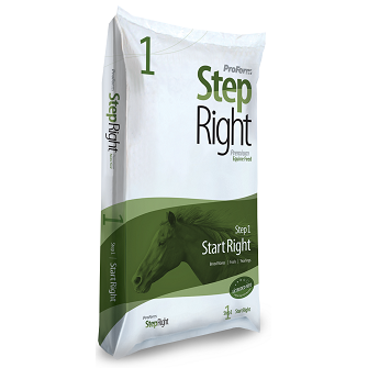 StepRight Step 1 - Start Right