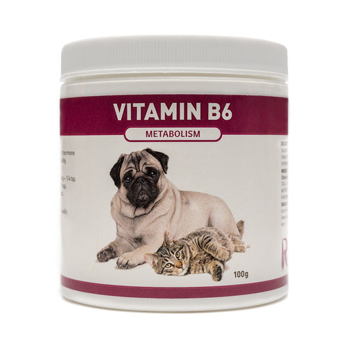 Riva's Remedies Dog & Cat Vitamin B6 - 100g
