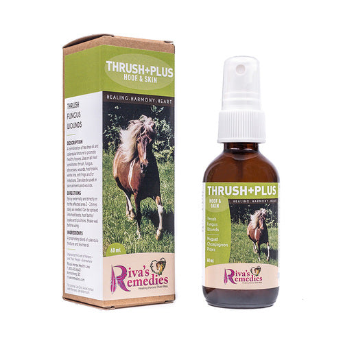 Riva's Remedies Equine Thrush+Plus - 60ml