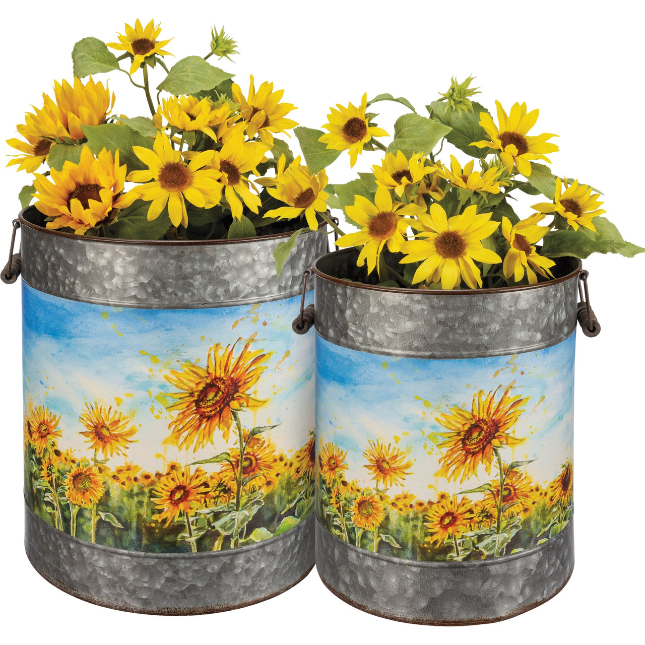 Bucket Sunflower - Large