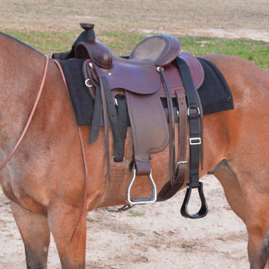 CASHEL Step Up Stirrup X-Long 76" - Irvine Tack & Western Wear