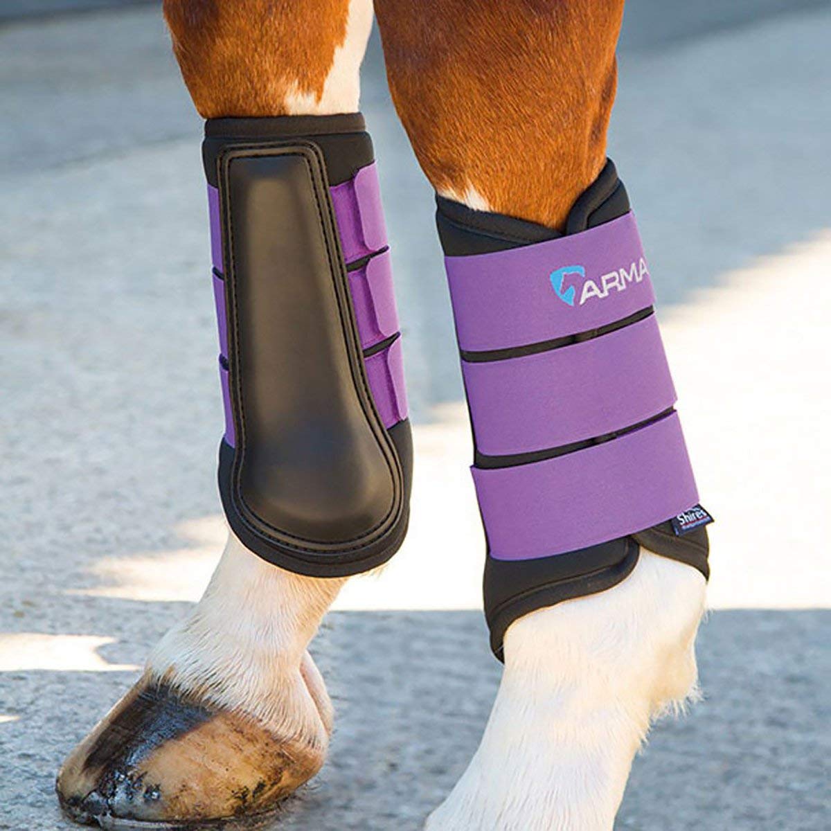 Shires sales tendon boots