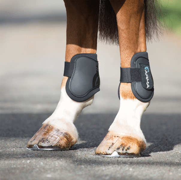 Arma Rear Fetlock Boots