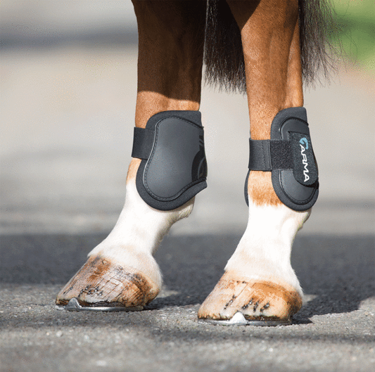 Arma Rear Fetlock Boots