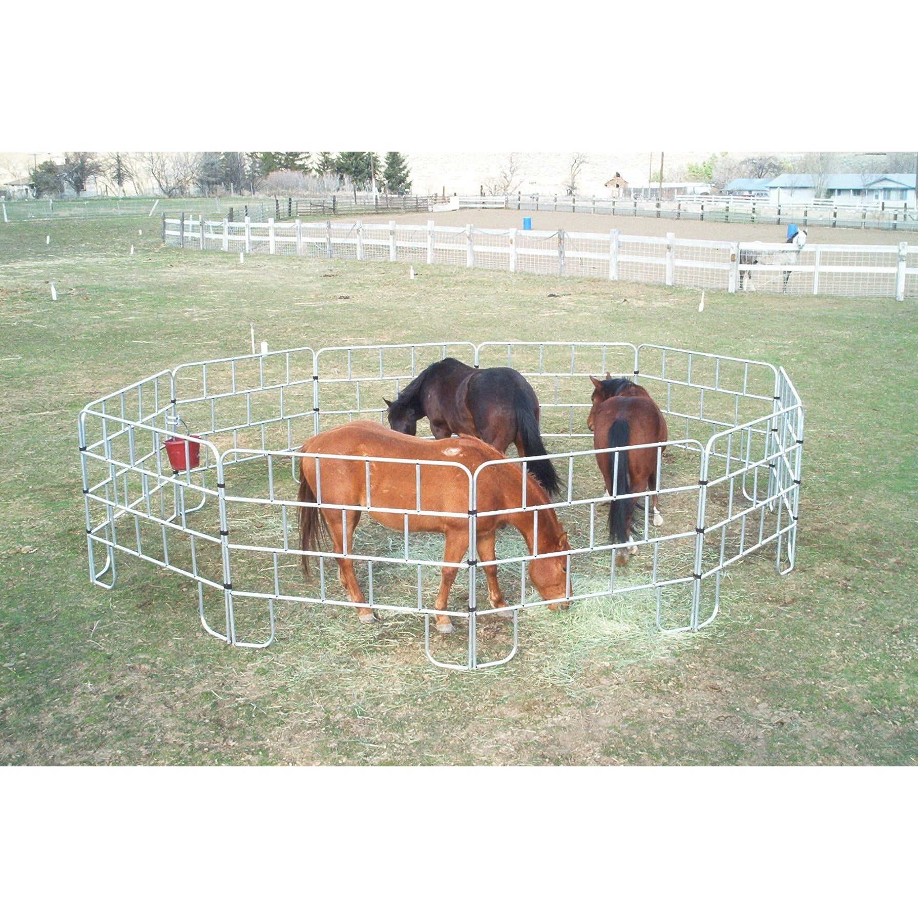 Irvine Travel Panels Set of 8 – Irvine Tack & Western Wear
