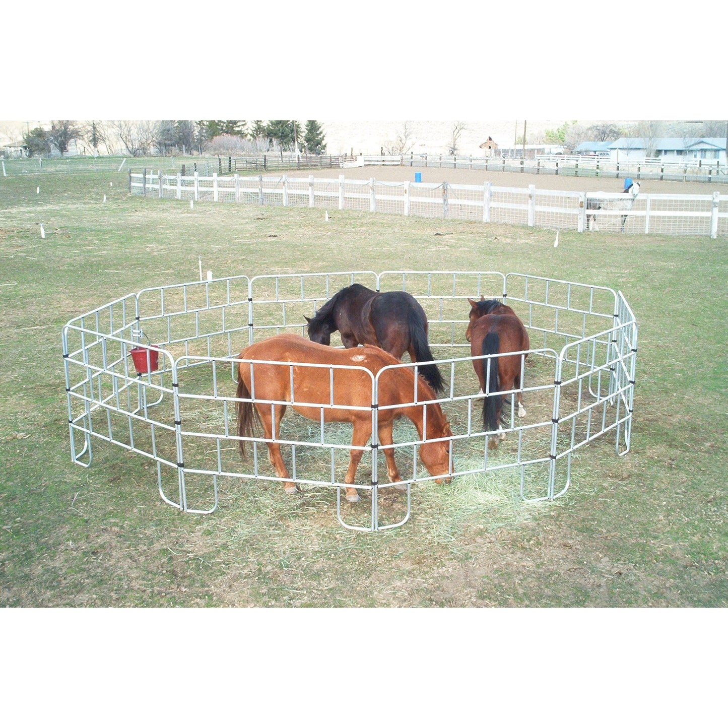 Irvine Travel Panels - Set of 8