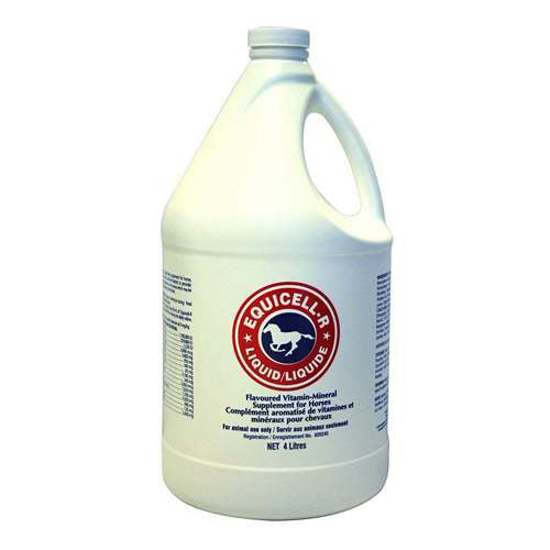 Equicell-R Liquid Flavored Vitamin-Mineral Supplement for Horses 4L