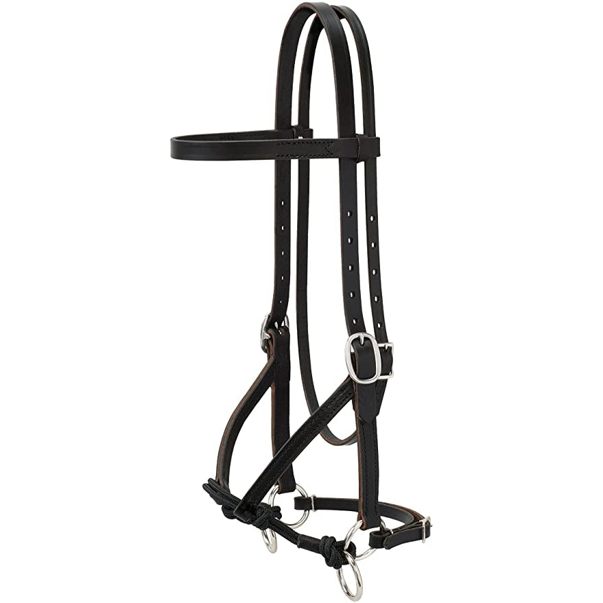 Weaver Leather J Dunn Oiled Bitless Bridle Horse