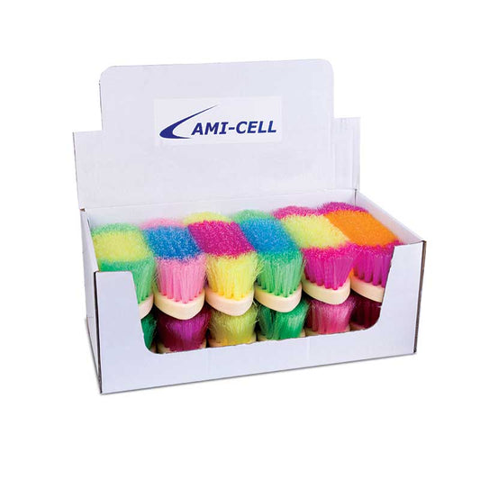Rainbow Brush 8" Hard Bristle Assorted - Irvine Tack & Western Wear