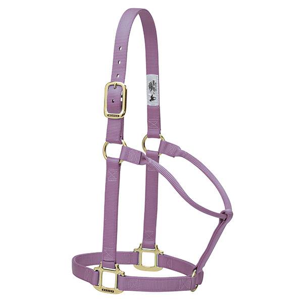 Weaver Leather Original Non-Adjustable Halter 1" - Yearling - Irvine Tack &amp; Western Wear