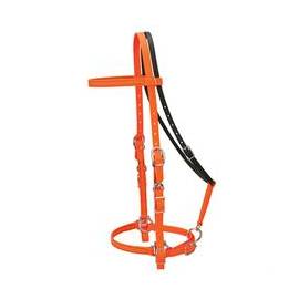 **Weaver Brahma Webb Trail Gear Halter Bridle, 5/8" **FINAL SALE** - Irvine Tack & Western Wear
