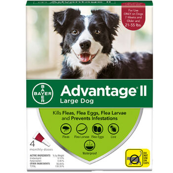 Advantage II L  Dog 2   Dose
