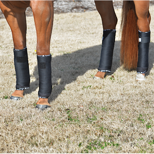Classic Equine Quilted Standing Wraps