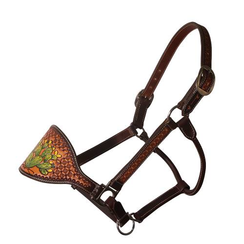 Professional's Choice Bronc Halter - Cactus