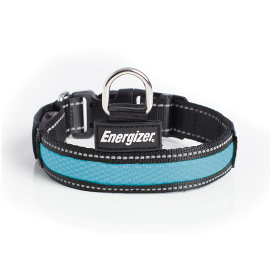 Energizer Dog Blaze USB Collar Blue MED