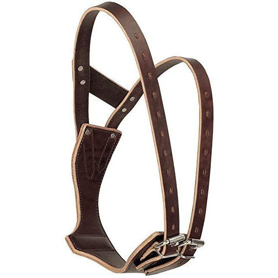 Weaver Leather Miracle Collar, Boxed Small - Irvine Tack & Western Wear