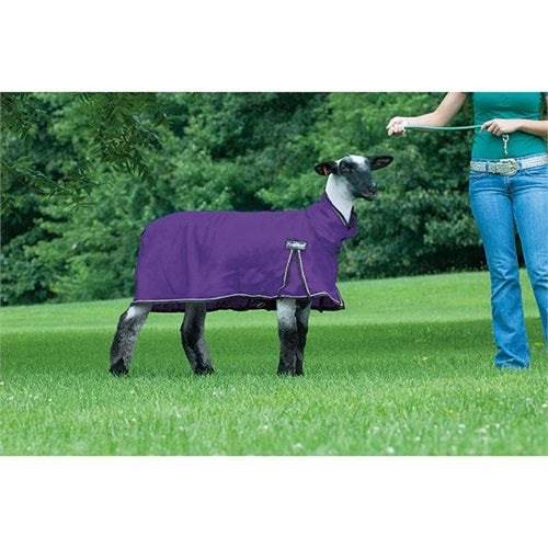 Weaver ProCool™ Sheep Blanket with Reflective Piping Large