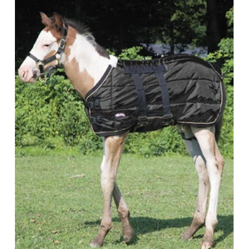 Weaver Foal Blanket - Irvine Tack & Western Wear