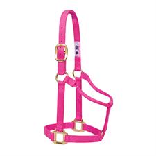Weaver Leather Original Non-Adjustable Nylon Horse Halter, Weanling/Pony