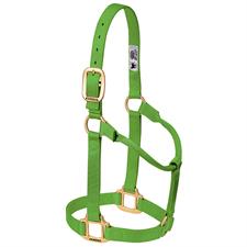 Weaver Leather Original Non-Adjustable Nylon Horse Halter, Weanling/Pony