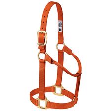 Weaver Leather Original Non-Adjustable Nylon Horse Halter, Weanling/Pony