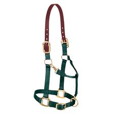 Weaver Leather Adjustable Breakaway Nylon Horse Halter - Weanling/Pony