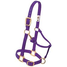 Weaver Leather Original Adjustable Nylon Horse Halter Suckling - Multiple Colours