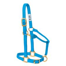 Weaver Leather 35-7405-TU Basic Non-Adjustable Halter, 1-Inch Average  Horse, Turquoise : : Pet Supplies