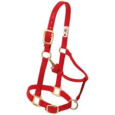 Adjustable Patterned Nylon Horse Halter - Weaver Equine