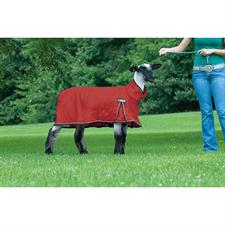 Weaver ProCool™ Sheep Blanket with Reflective Piping -Medium
