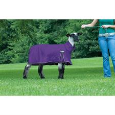 Weaver ProCool™ Sheep Blanket with Reflective Piping -Medium