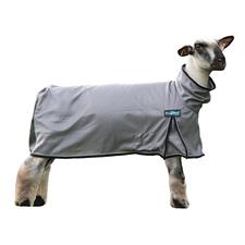 Weaver ProCool™ Sheep Blanket with Reflective Piping -Medium