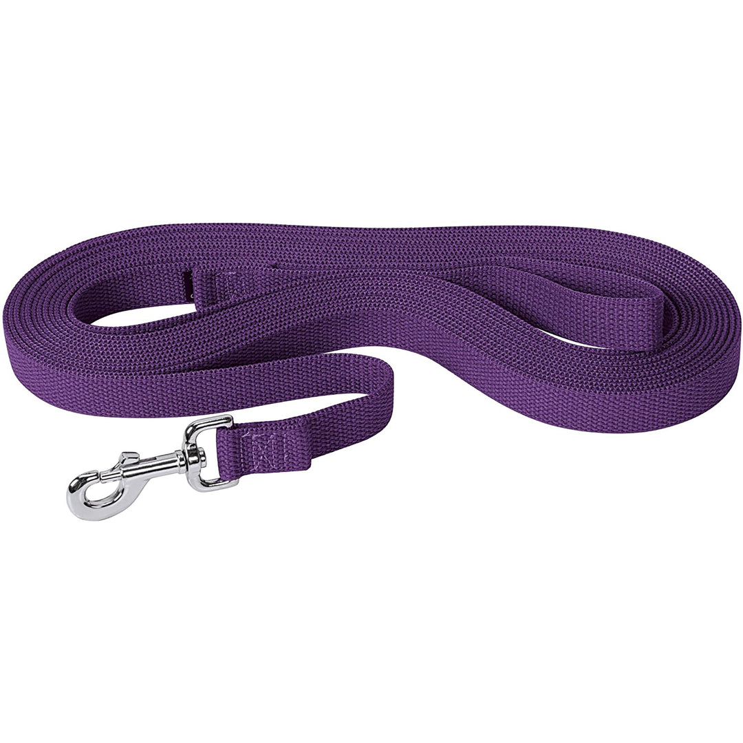 Weaver Flat Cotton Lunge Line 1" x 30" - Multiple Colours